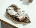 <b>DSC09621</b>