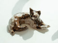 <b>DSC09637</b>