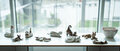 <b>DSC09648</b>