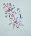 <b>DSC09658</b>